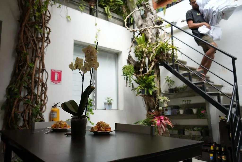 Gaston Coliving Hostel Medellín