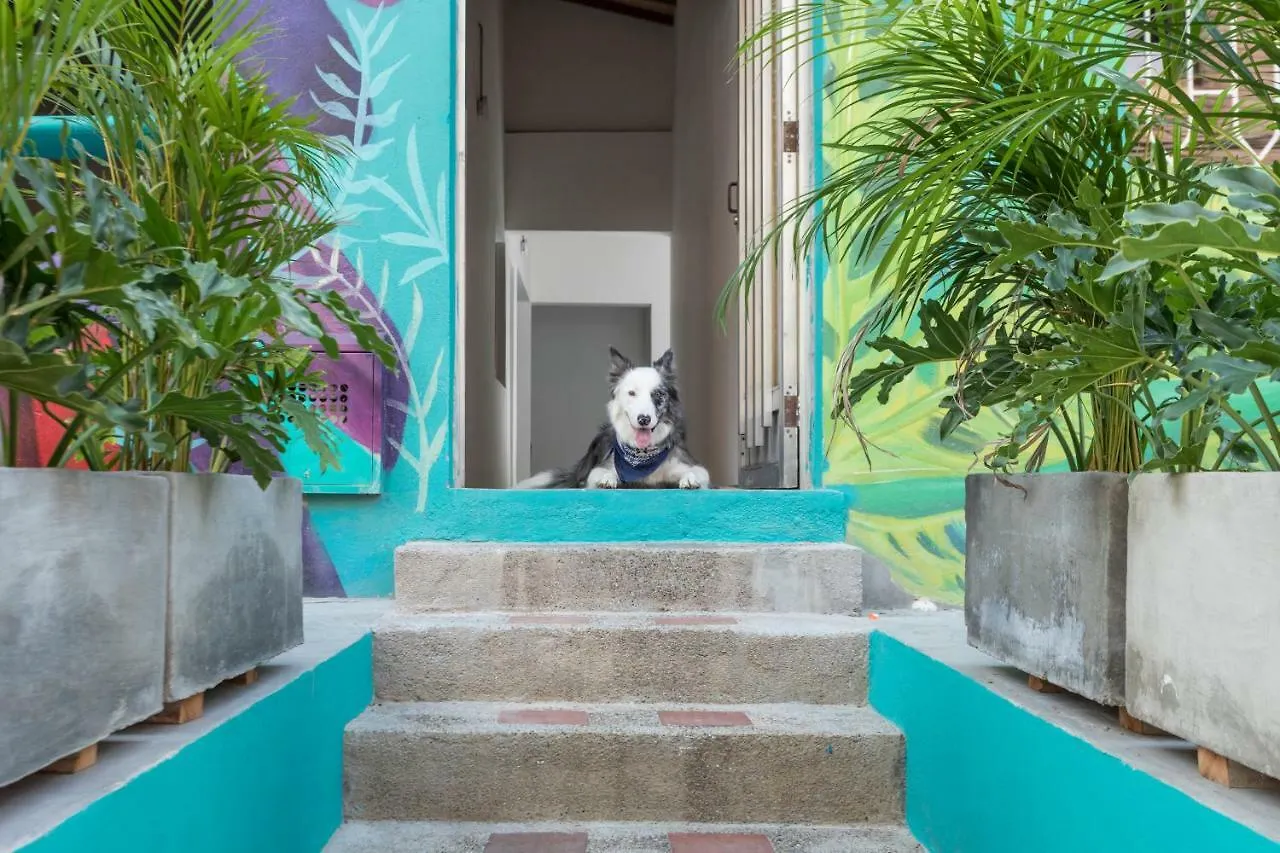 Gaston Coliving Hostel Medellin 0*,  Colombia